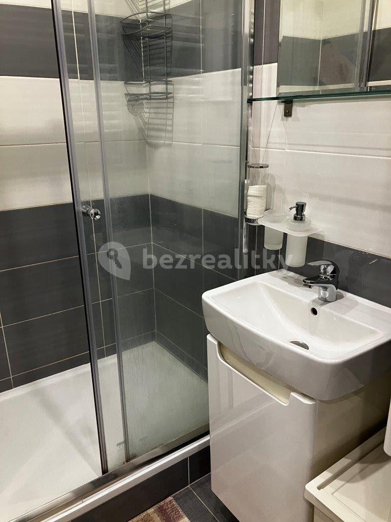 Pronájem bytu 2+kk 47 m², Štichova, Praha, Praha