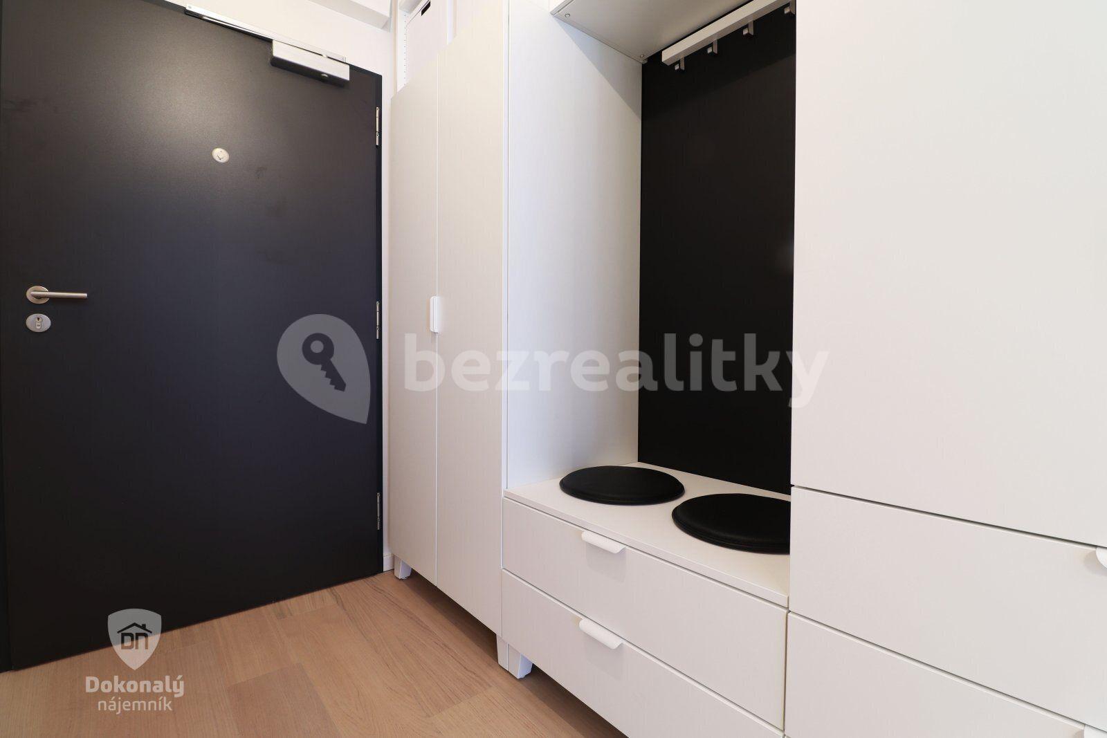 Pronájem bytu 1+kk 28 m², V háji, Praha, Praha