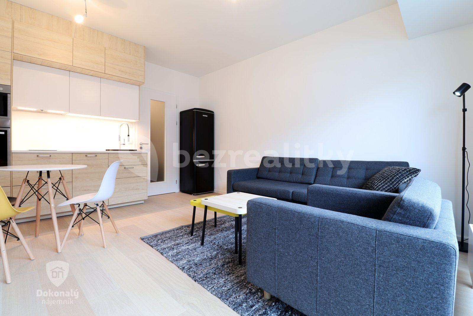 Pronájem bytu 1+kk 28 m², V háji, Praha, Praha