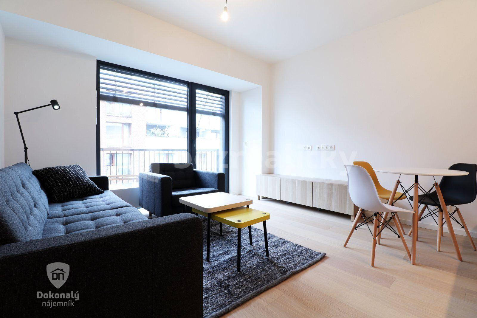 Pronájem bytu 1+kk 28 m², V háji, Praha, Praha