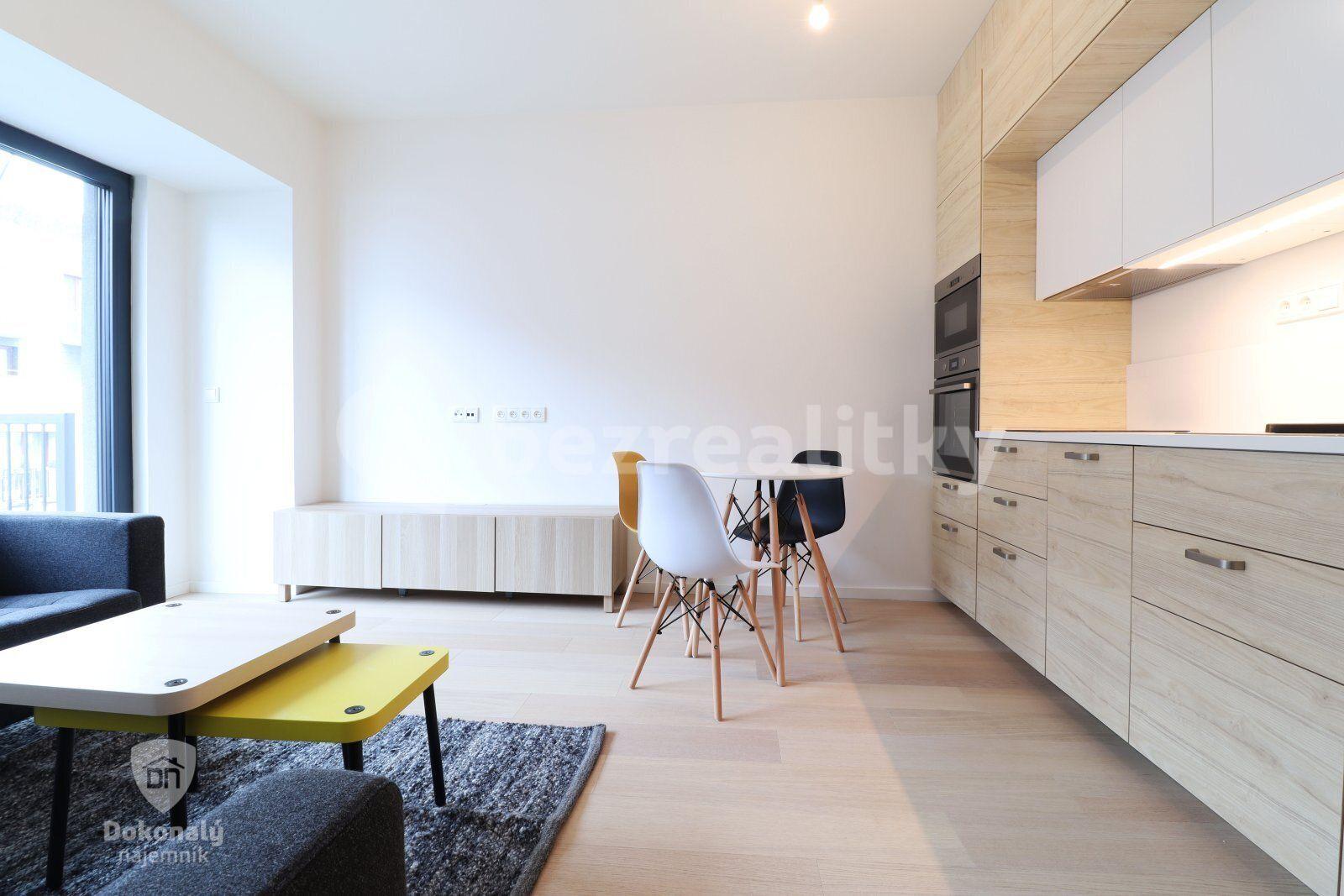 Pronájem bytu 1+kk 28 m², V háji, Praha, Praha