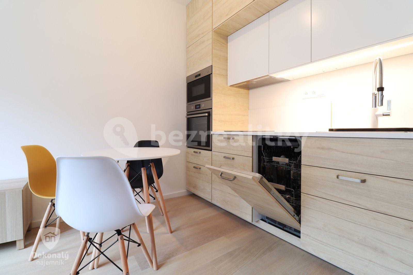 Pronájem bytu 1+kk 28 m², V háji, Praha, Praha