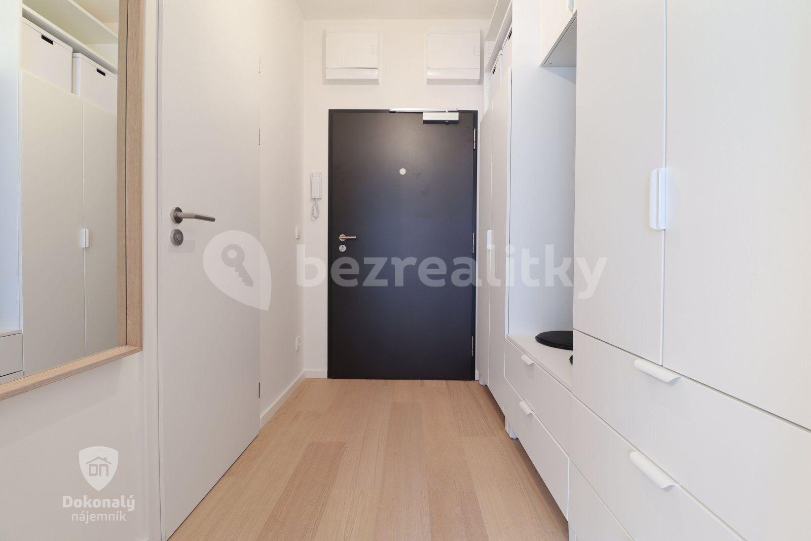 Pronájem bytu 1+kk 28 m², V háji, Praha, Praha