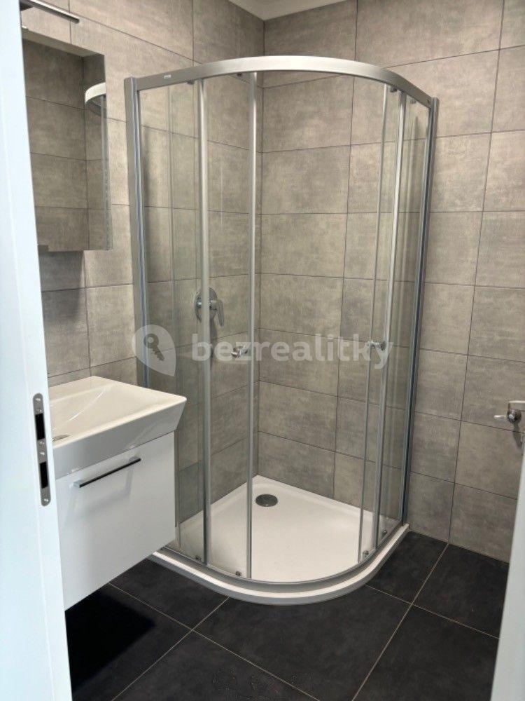 Pronájem bytu 1+kk 35 m², Primátorská, Praha, Praha