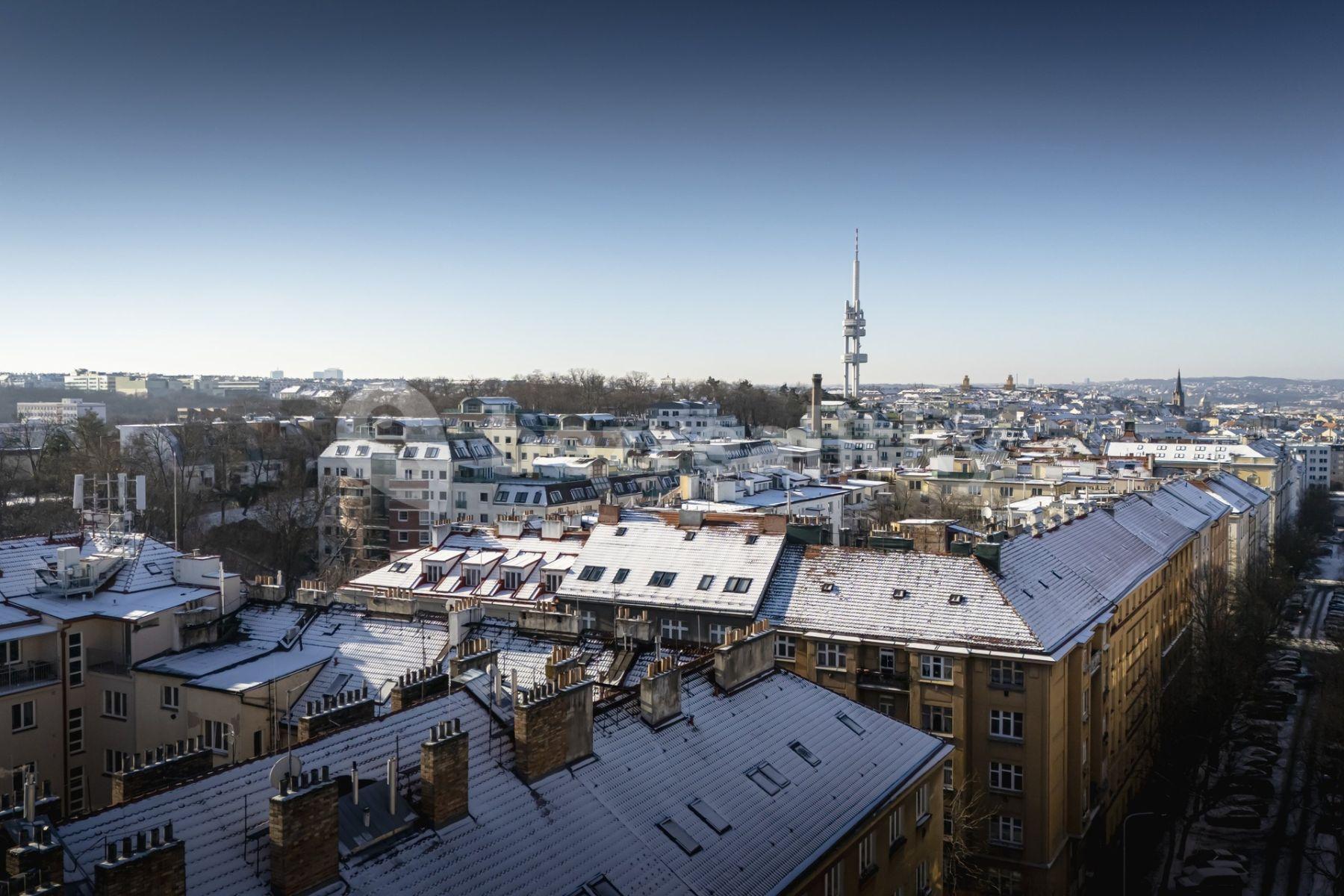 Prodej nebytového prostoru 129 m², Žerotínova, Praha, Praha