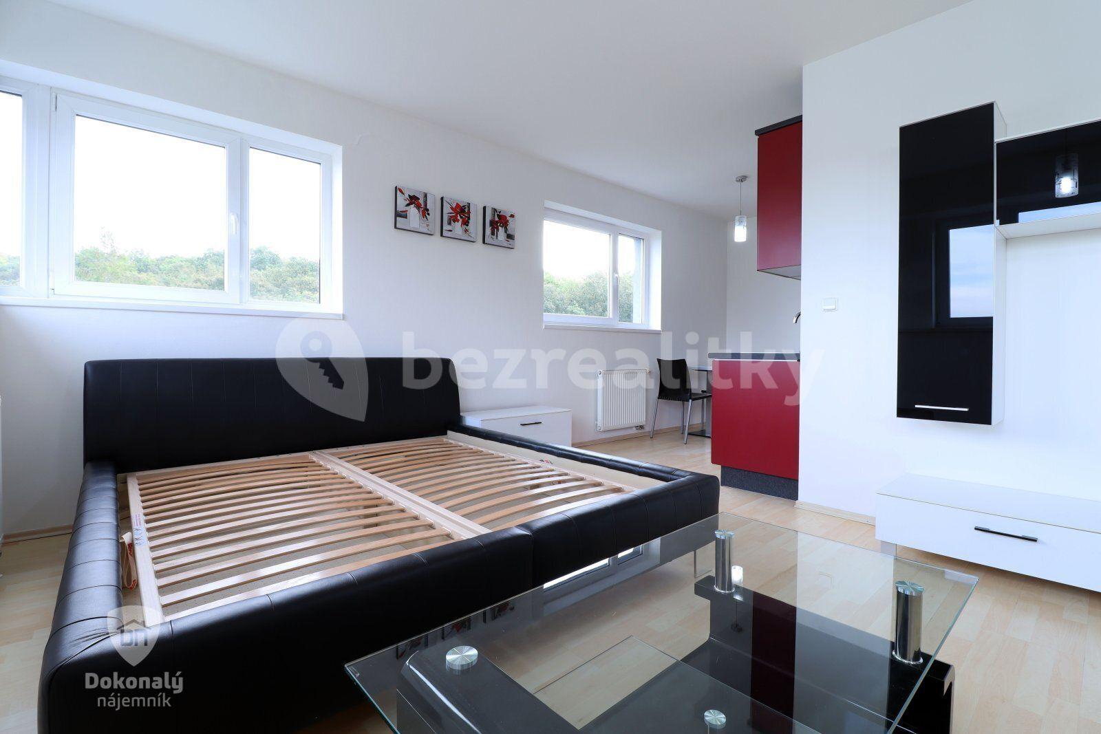 Pronájem bytu 1+kk 39 m², U Zátiší, Praha, Praha