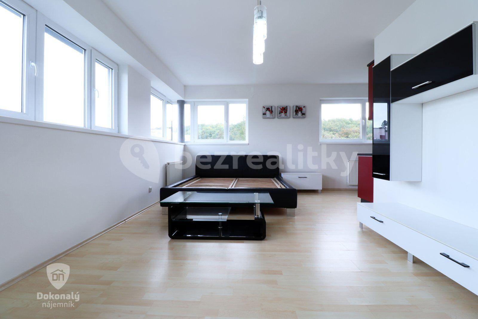 Pronájem bytu 1+kk 39 m², U Zátiší, Praha, Praha