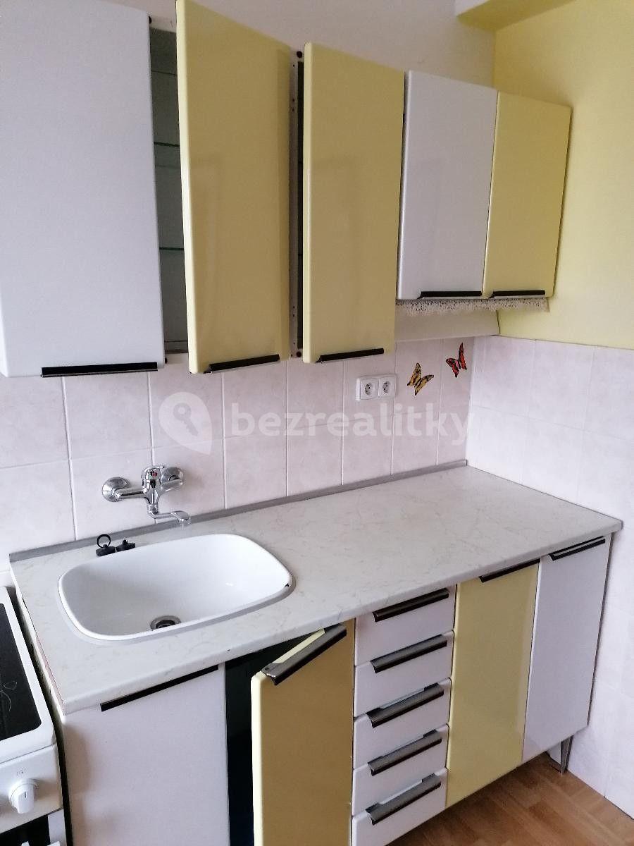 Pronájem bytu 2+1 65 m², Palackého třída, Brno, Jihomoravský kraj