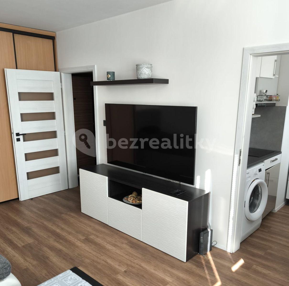 Pronájem bytu 1+kk 31 m², Benkova, Praha, Praha