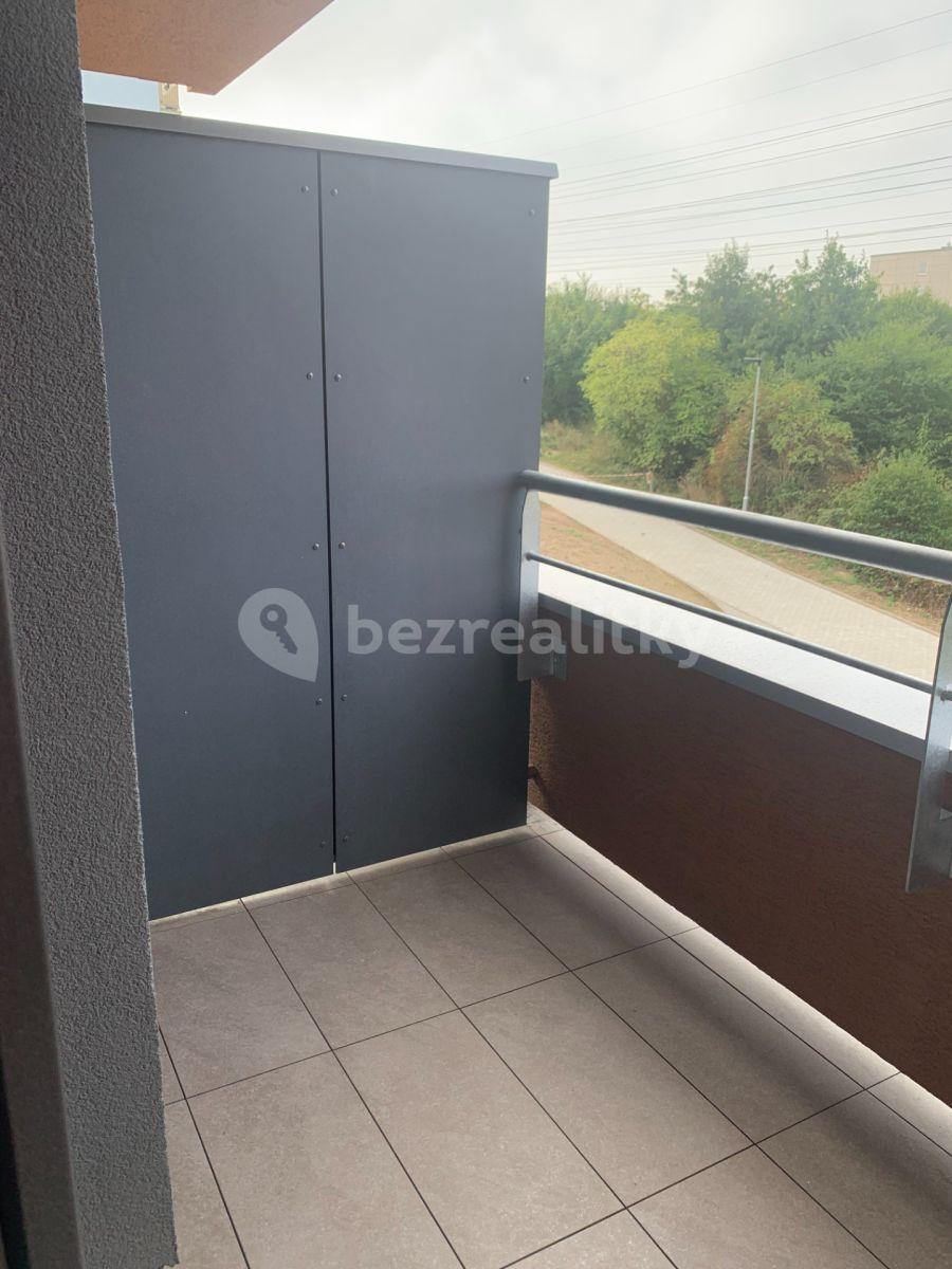 Pronájem bytu 1+kk 30 m², Šternovská, Praha, Praha