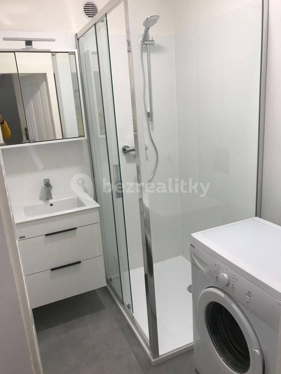 Pronájem bytu 2+kk 49 m², Mahenova, Praha, Praha