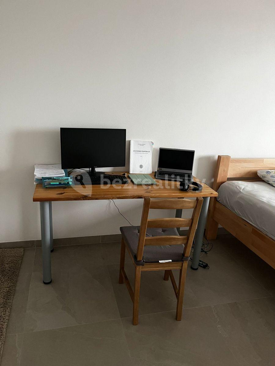 Pronájem bytu 2+kk 85 m², Bratislavská, Brno, Jihomoravský kraj