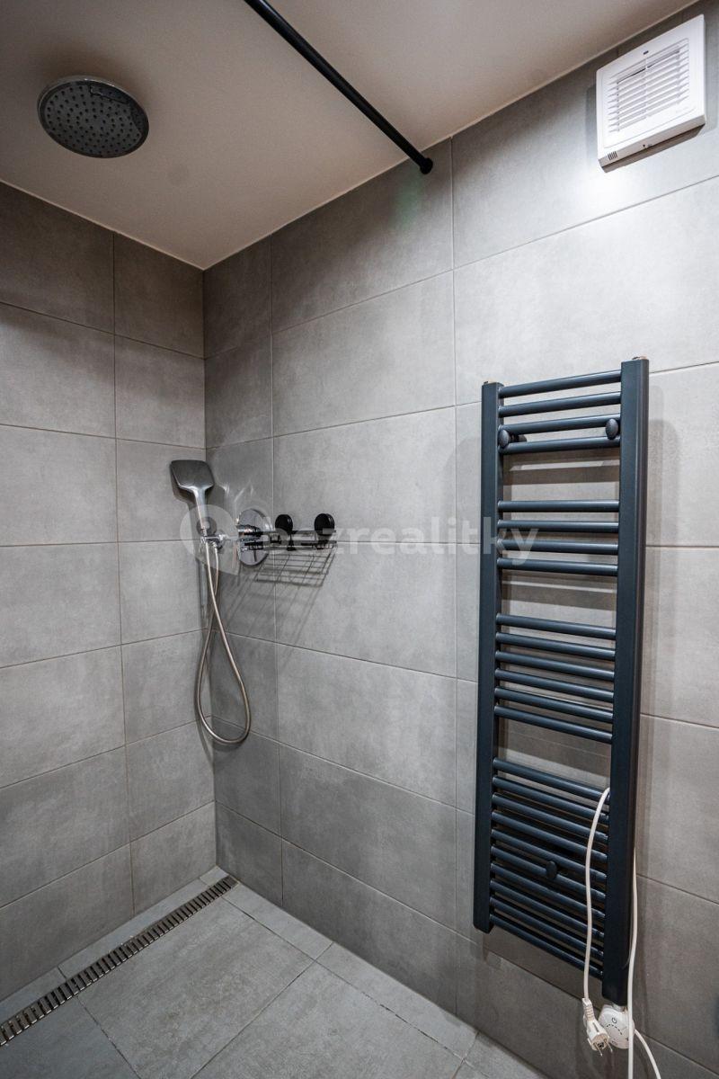 Pronájem bytu Garsoniéra 26 m², Přemyslovská, Praha, Praha