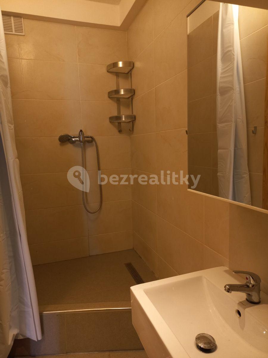 Pronájem bytu 1+kk 50 m², Vršovická, Praha, Praha