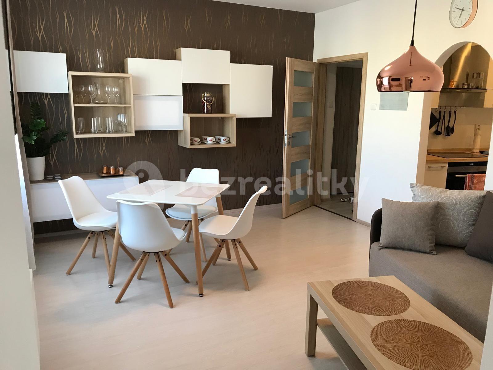 Pronájem bytu 2+1 56 m², Renneská třída, Brno, Jihomoravský kraj