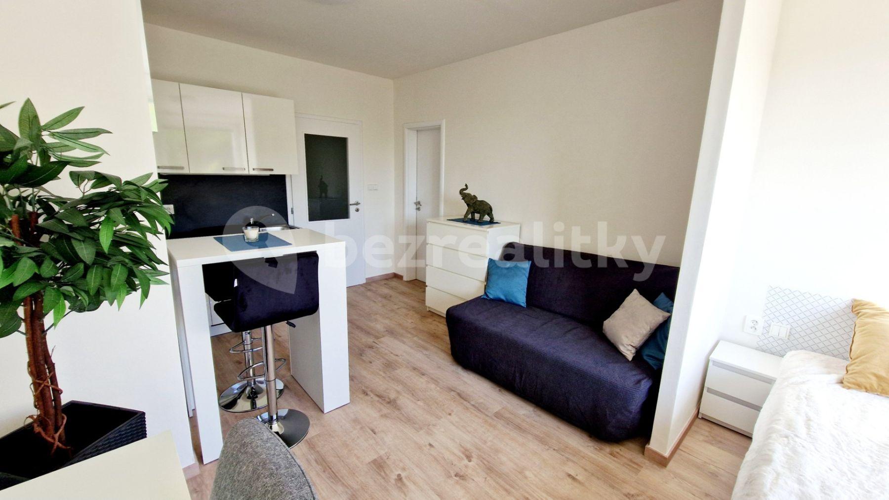 Pronájem bytu 1+kk 30 m², Pod Lysinami, Praha, Praha