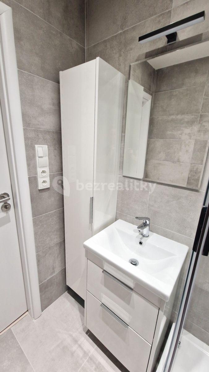 Pronájem bytu 1+kk 30 m², Pod Lysinami, Praha, Praha