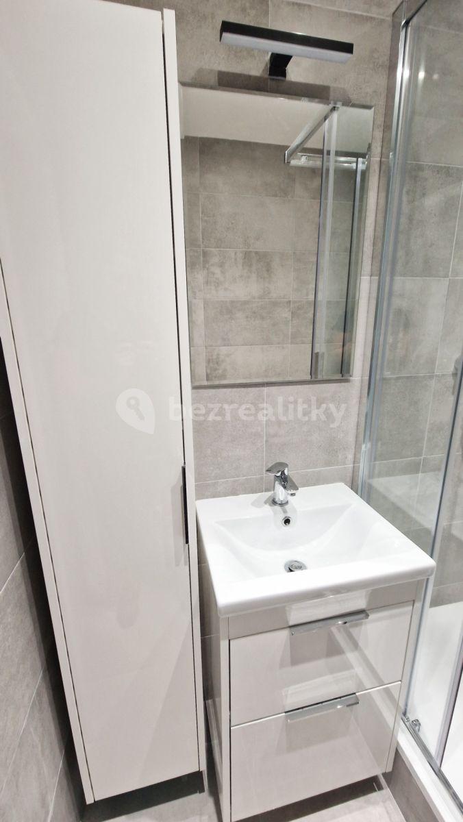 Pronájem bytu 1+kk 30 m², Pod Lysinami, Praha, Praha