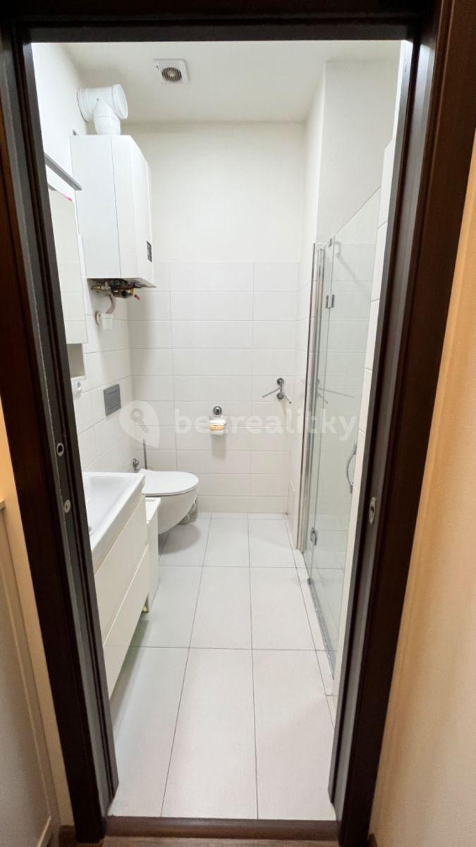 Pronájem bytu 1+kk 30 m², Plynární, Praha, Praha