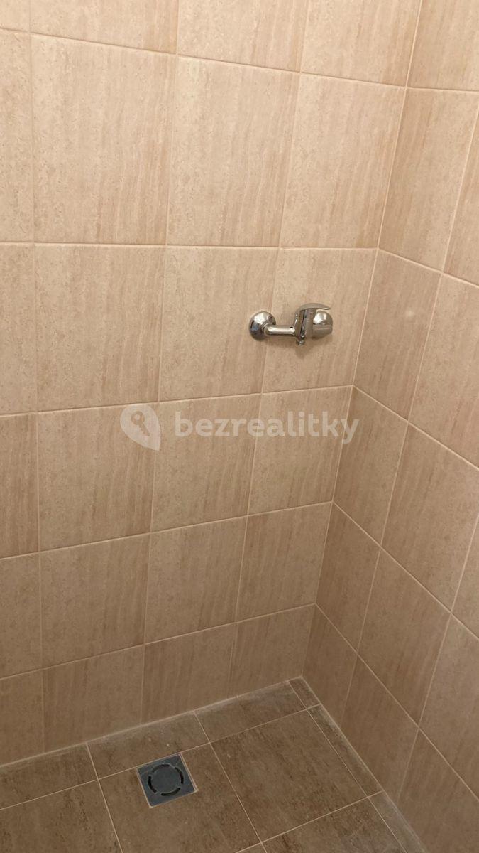 Pronájem bytu 2+kk 42 m², Heydukova, Praha, Praha