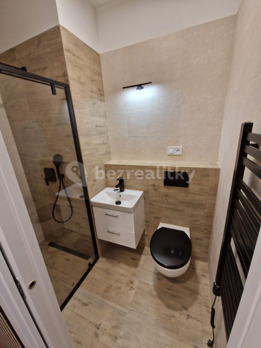 Pronájem bytu 1+kk 16 m², Ztracená, Přerov, Olomoucký kraj