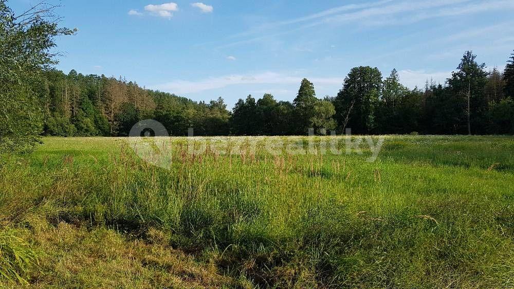 Pronájem chaty, chalupy, Čikov, Kraj Vysočina