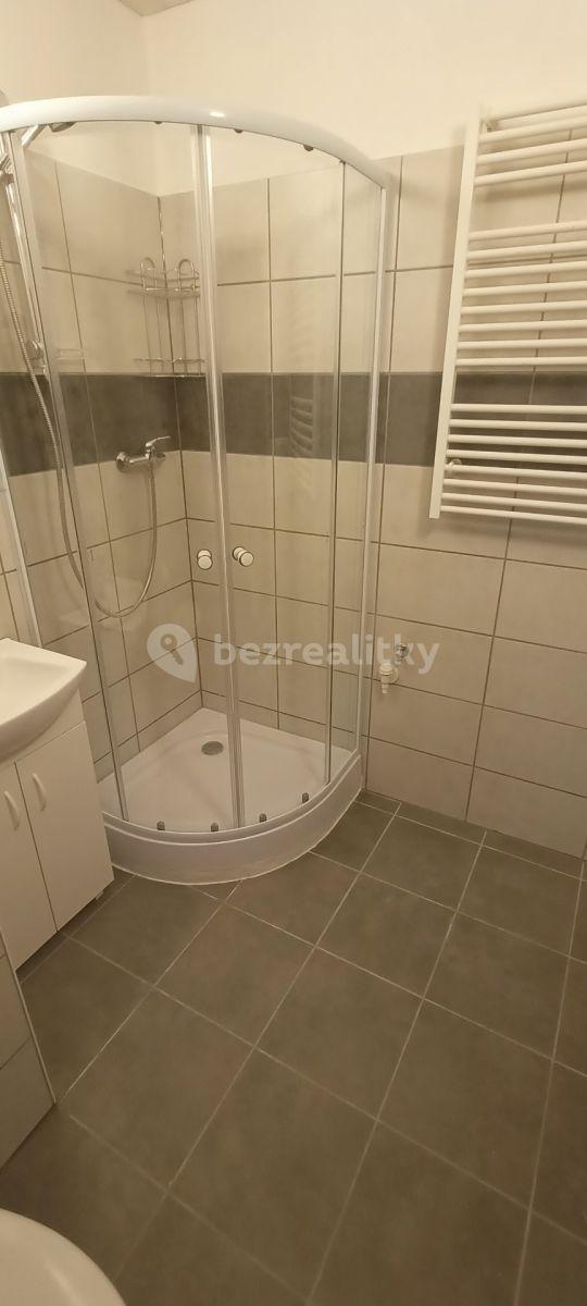 Pronájem bytu 2+kk 45 m², Letovská, Praha, Praha