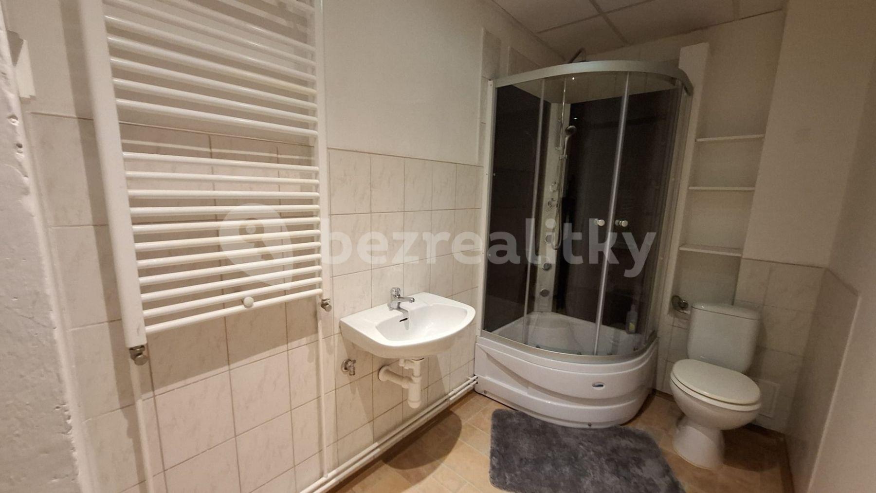 Pronájem bytu 2+kk 45 m², Hanychovská, Liberec, Liberecký kraj