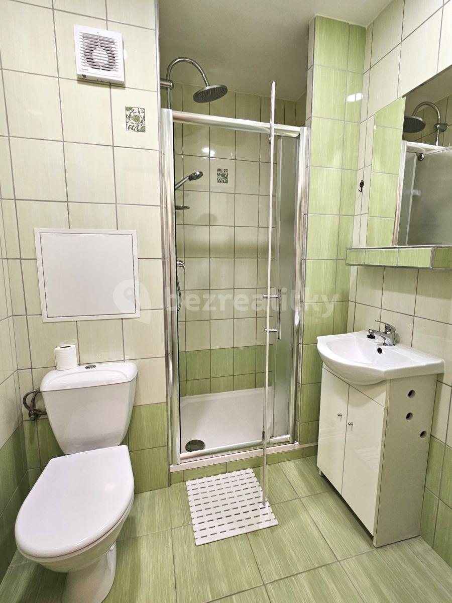 Pronájem bytu 2+kk 34 m², Krátká, Desná, Liberecký kraj