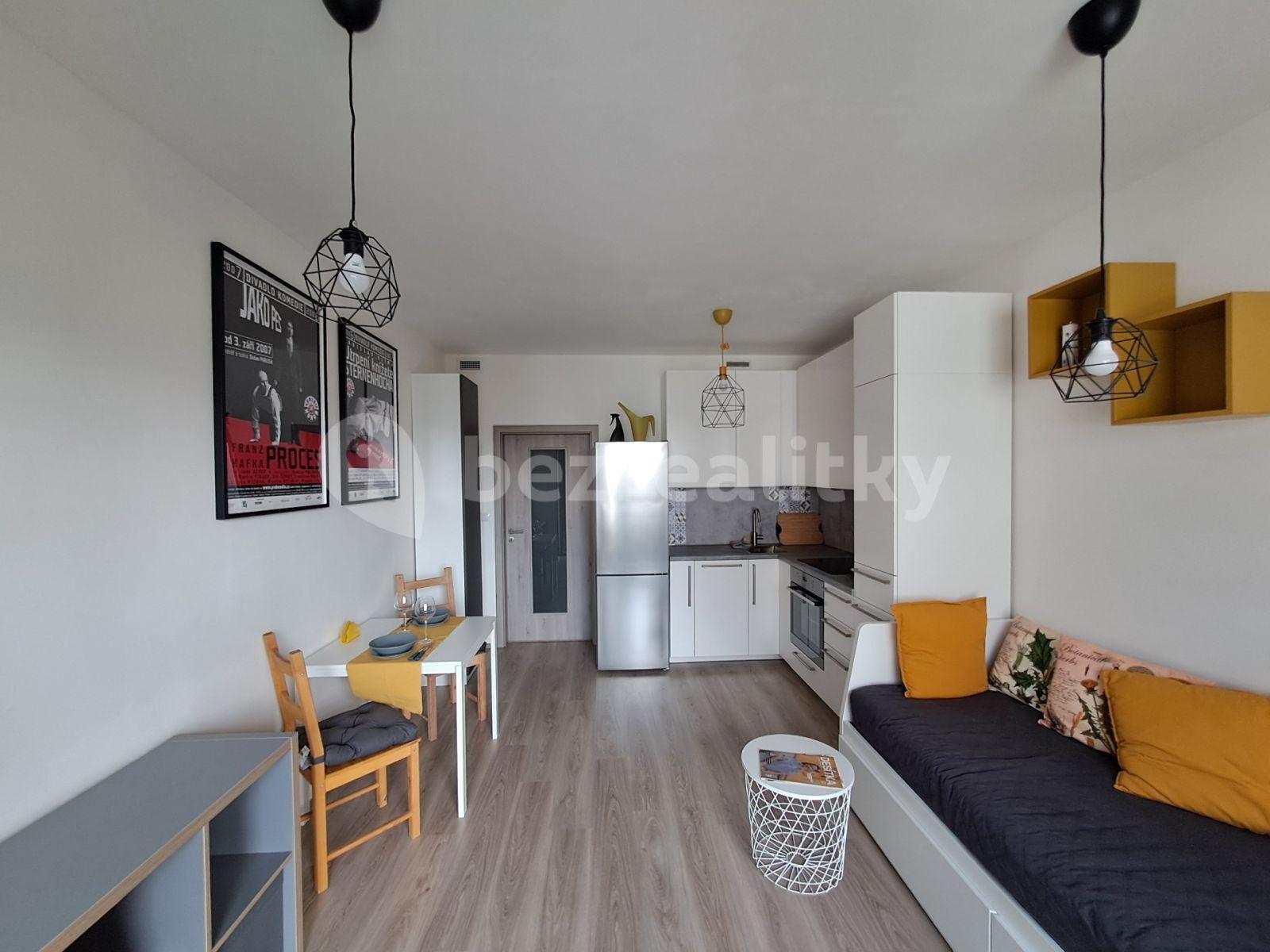 Pronájem bytu 1+kk 30 m², Petrohradská, Praha, Praha