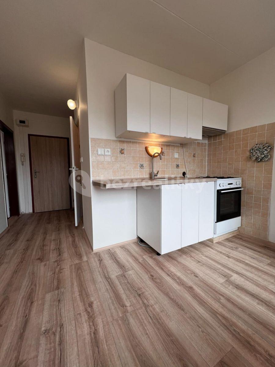 Pronájem bytu 1+1 40 m², Ečerova, Brno, Jihomoravský kraj