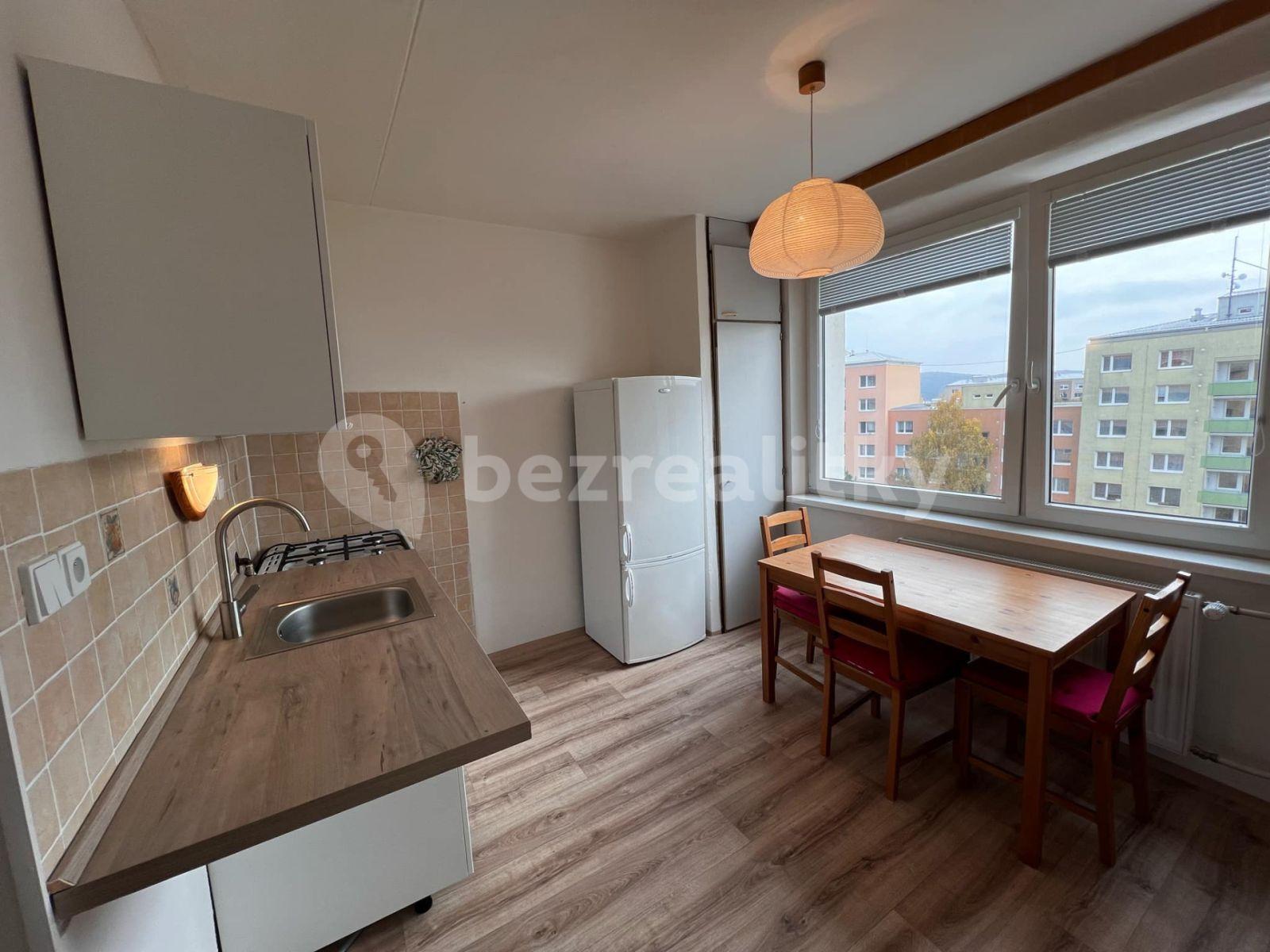 Pronájem bytu 1+1 40 m², Ečerova, Brno, Jihomoravský kraj