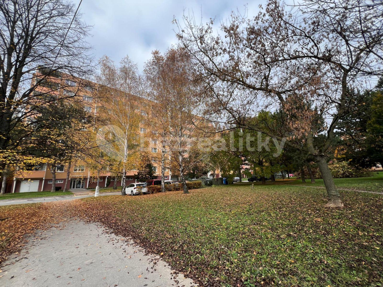 Pronájem bytu 1+1 40 m², Ečerova, Brno, Jihomoravský kraj