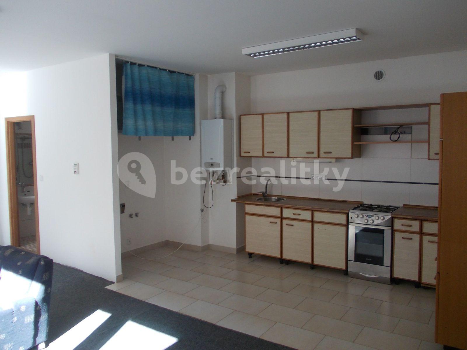 Pronájem bytu 4+kk 80 m², Bayerova, Brno, Jihomoravský kraj