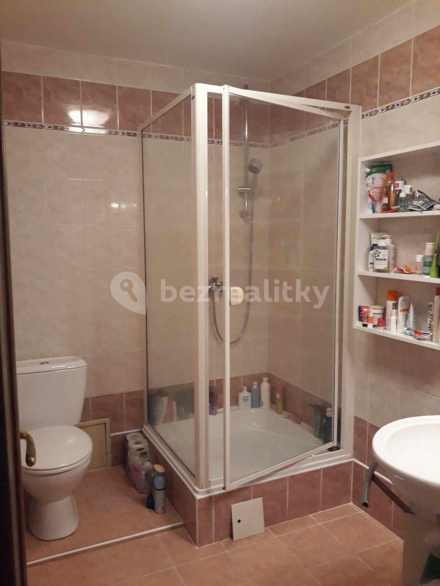 Pronájem bytu 305 m², Radlická, Praha, Praha