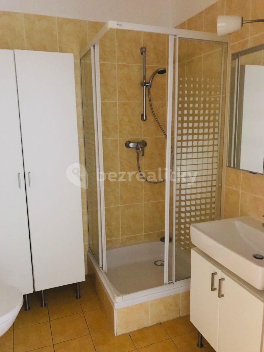 Pronájem bytu 1+kk 43 m², Třeboňská, Praha, Praha