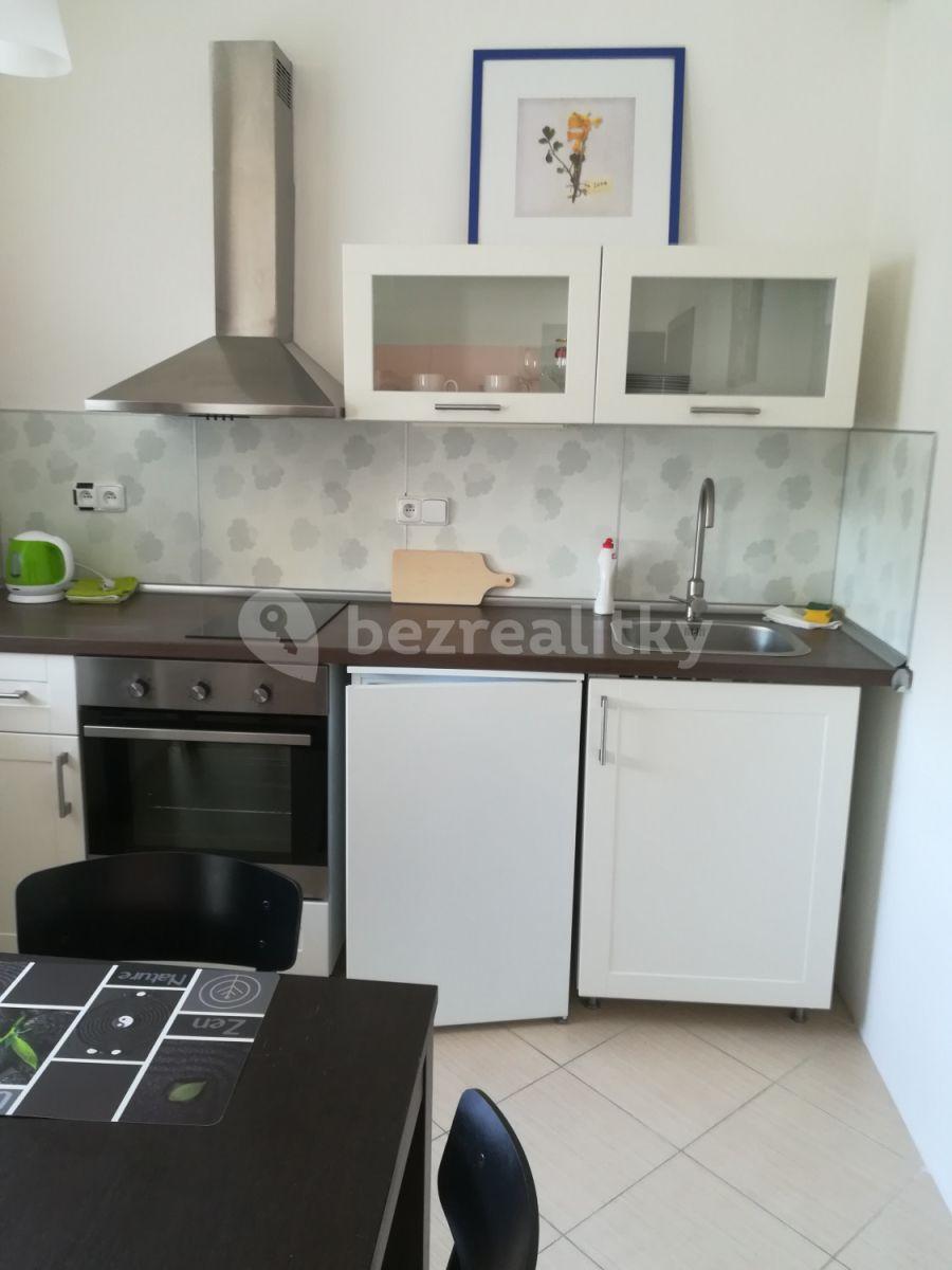 Pronájem bytu 1+kk 40 m², Nad Přehradou, Praha, Praha