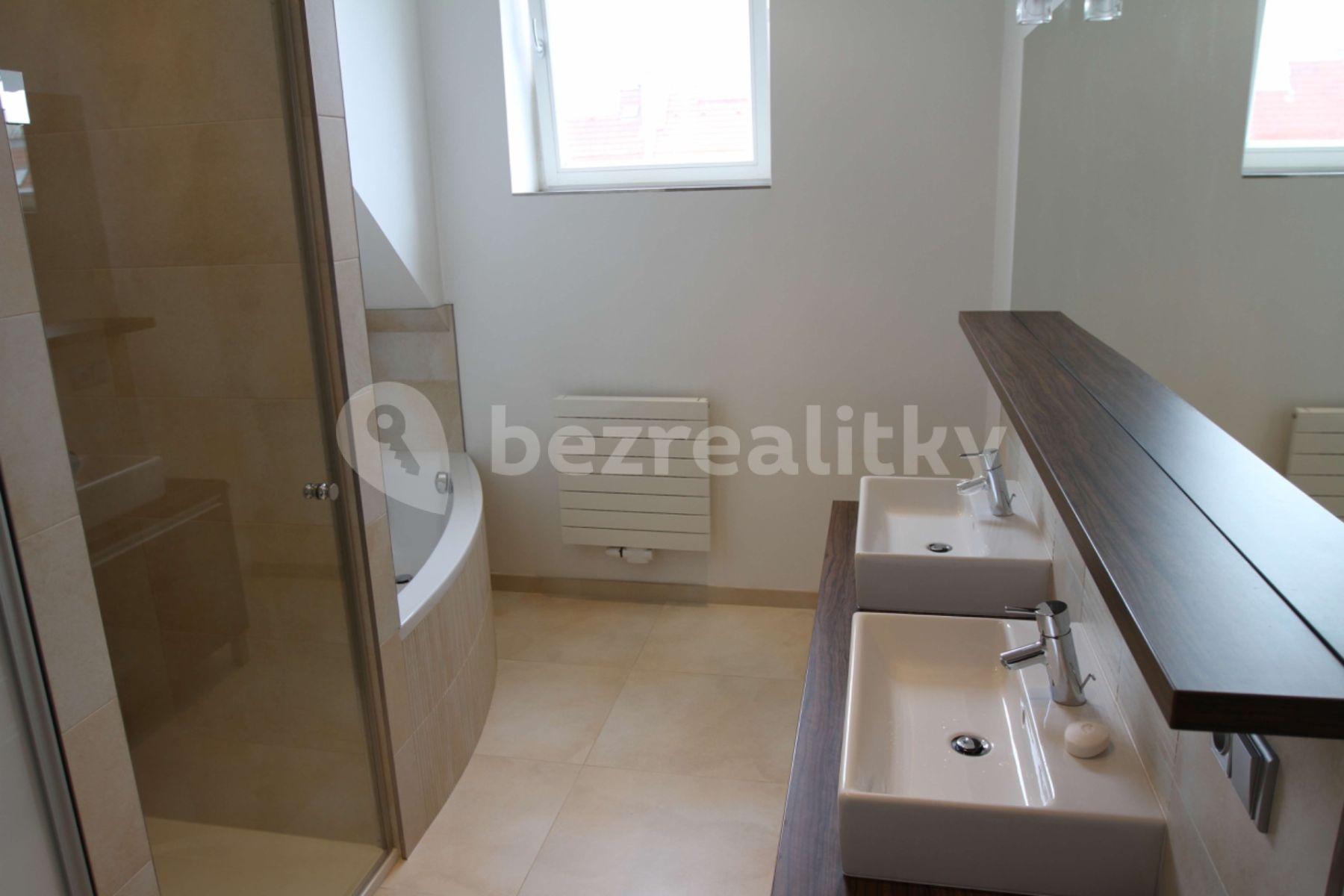 Pronájem bytu 2+kk 103 m², U Družstva Ideál, Praha, Praha