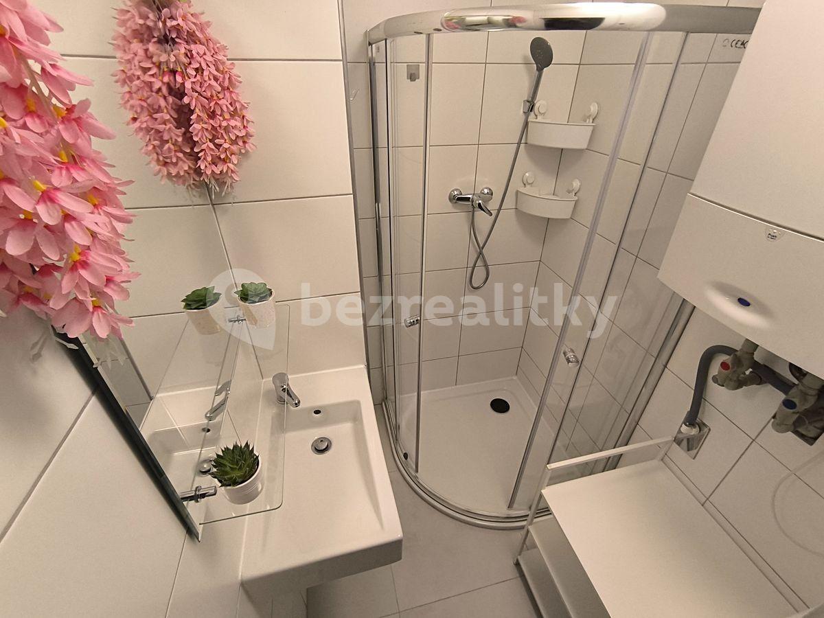 Pronájem bytu 3+kk 62 m², Plzeňská, Praha, Praha