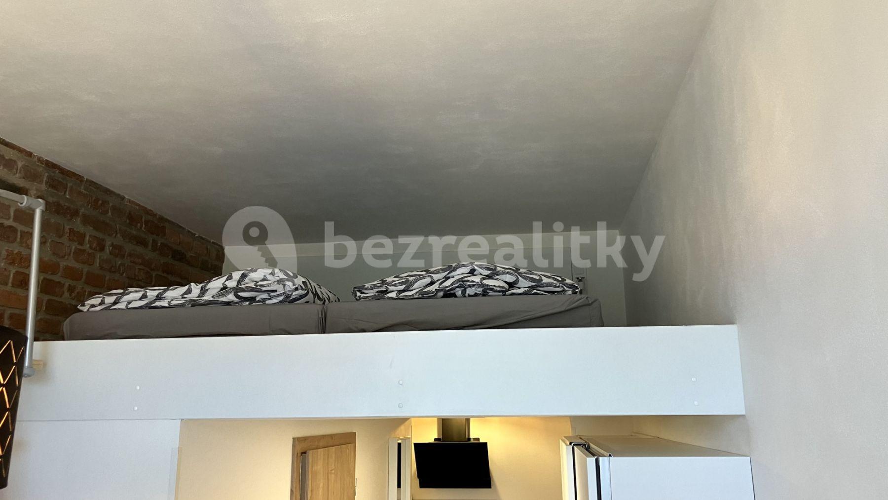 Pronájem bytu 2+1 22 m², Radlická, Praha, Praha