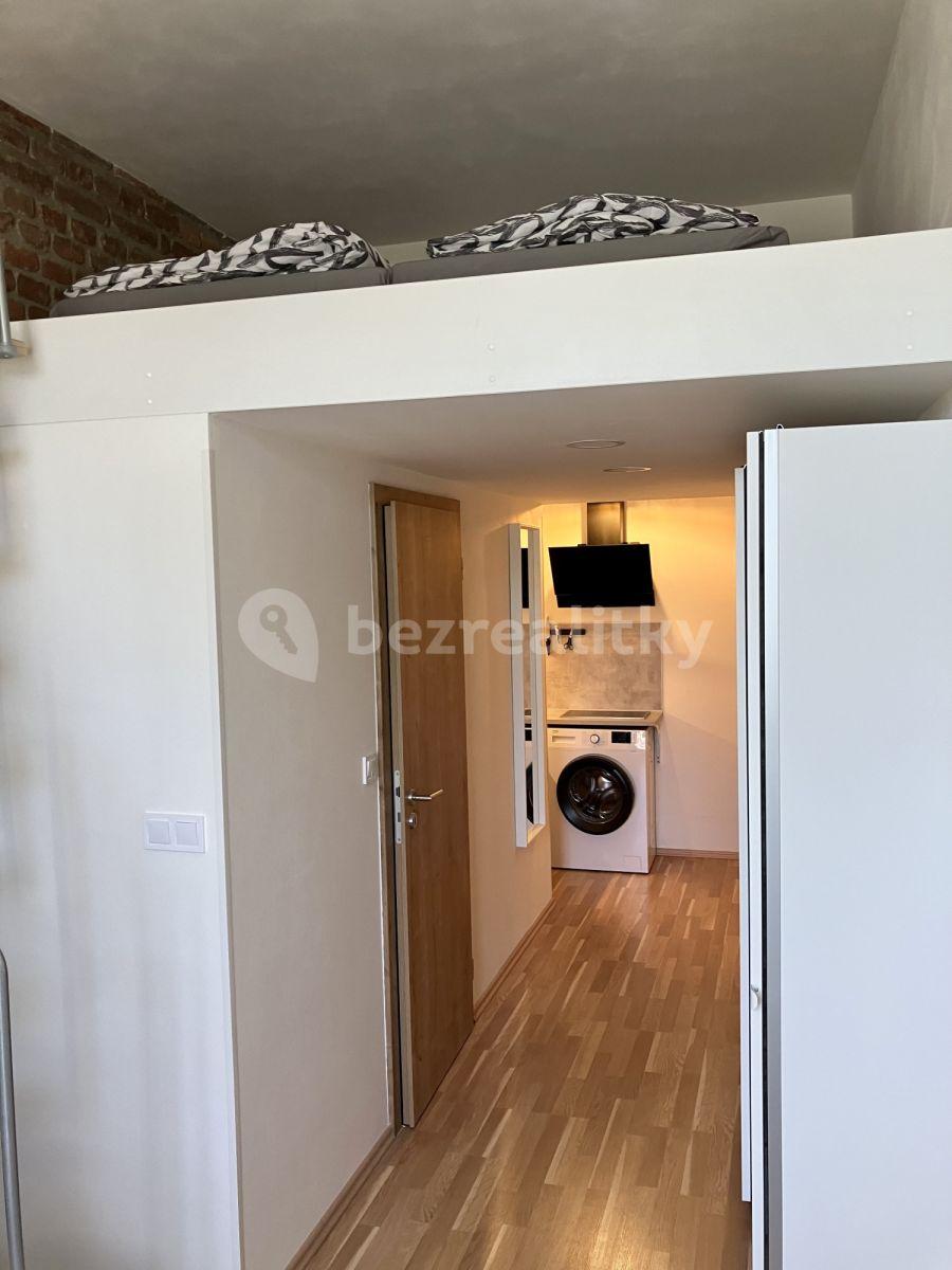 Pronájem bytu 2+1 22 m², Radlická, Praha, Praha