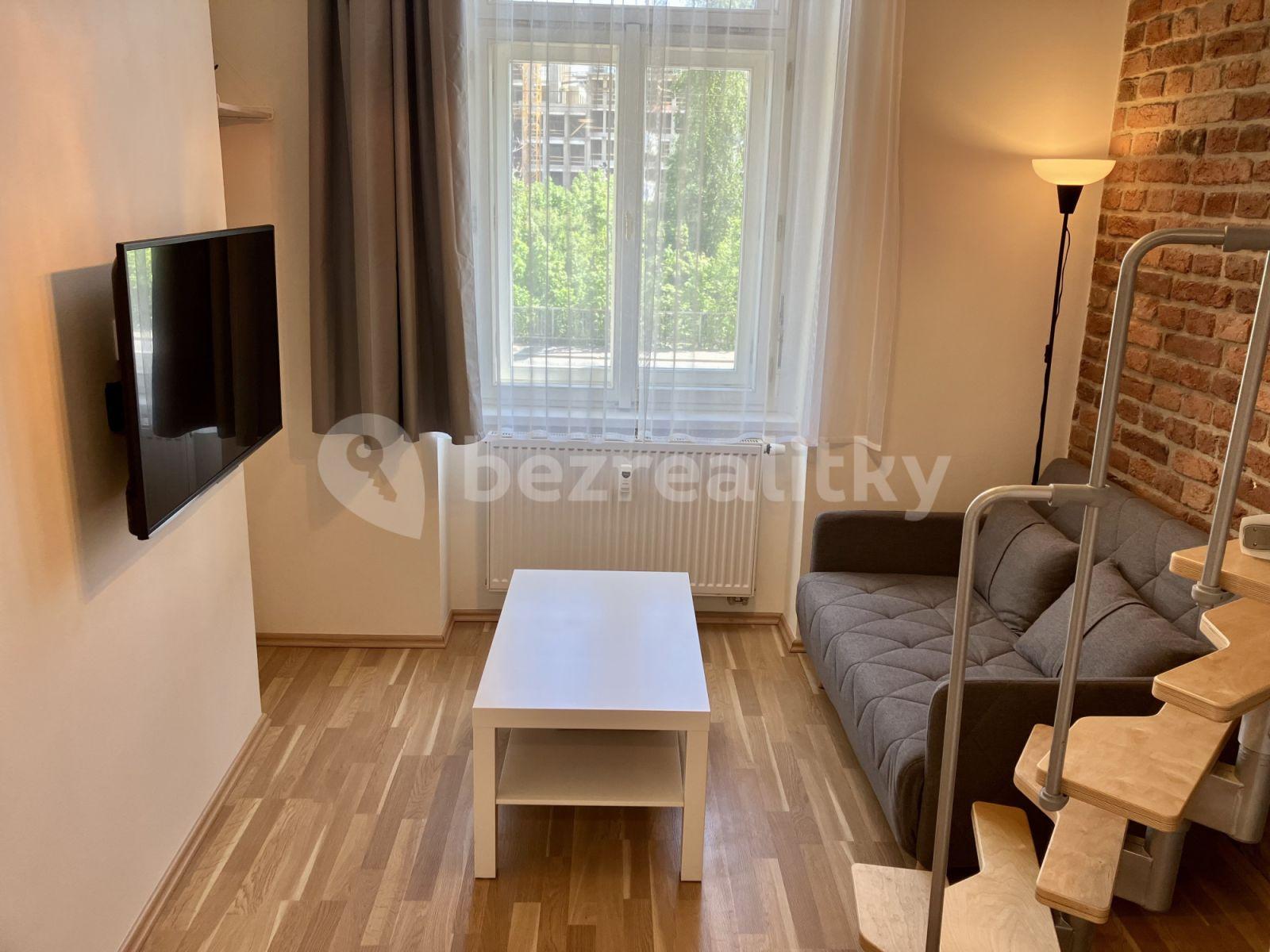 Pronájem bytu 2+1 22 m², Radlická, Praha, Praha