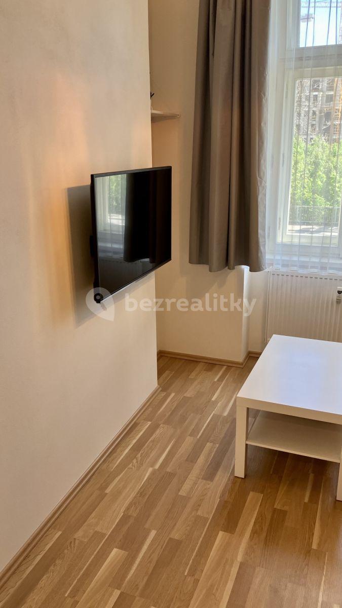 Pronájem bytu 2+1 22 m², Radlická, Praha, Praha