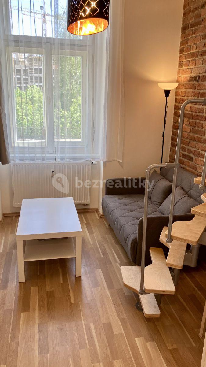 Pronájem bytu 2+1 22 m², Radlická, Praha, Praha