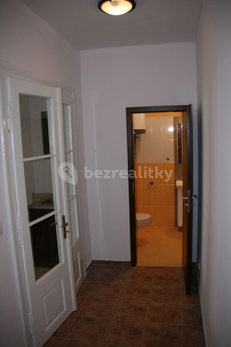 Pronájem bytu 1+kk 45 m², třída Národní svobody, Písek, Jihočeský kraj