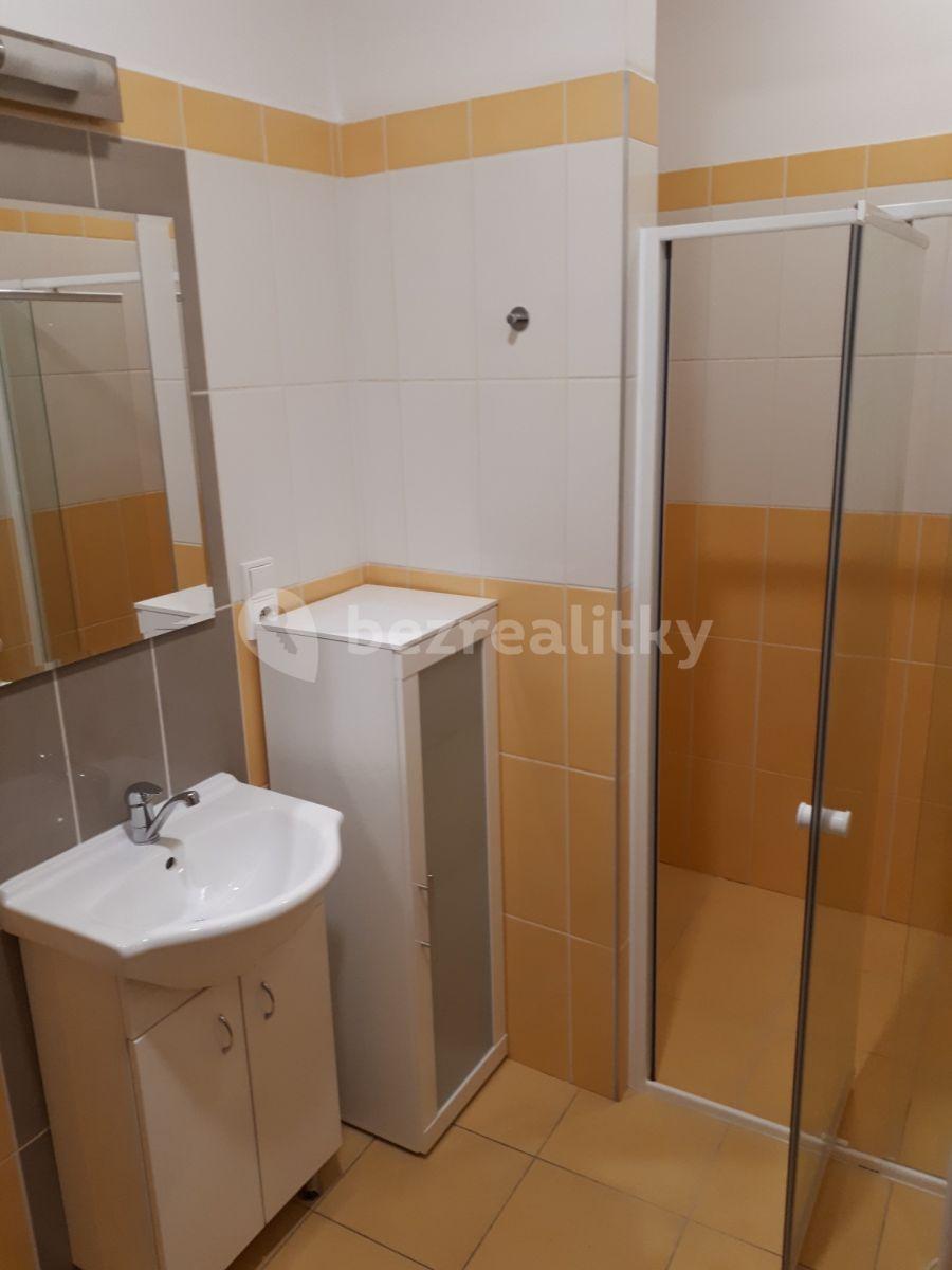 Pronájem bytu 1+kk 45 m², třída Národní svobody, Písek, Jihočeský kraj