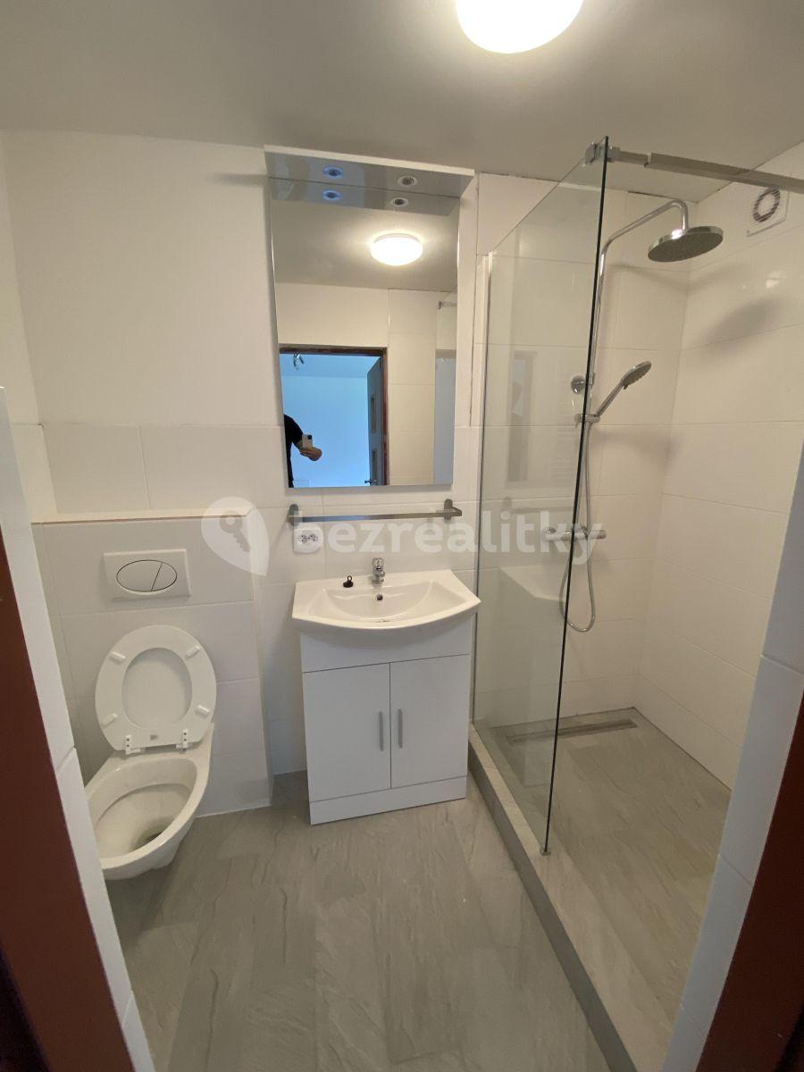 Pronájem bytu Garsoniéra 21 m², Jižní Ⅱ, Praha, Praha