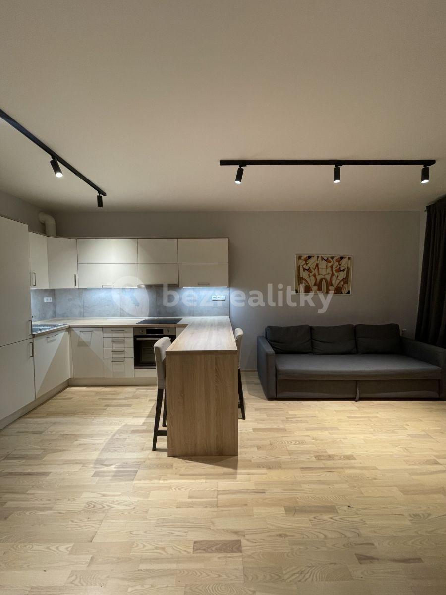 Pronájem bytu 2+kk 65 m², U mlýnského kanálu, Praha, Praha