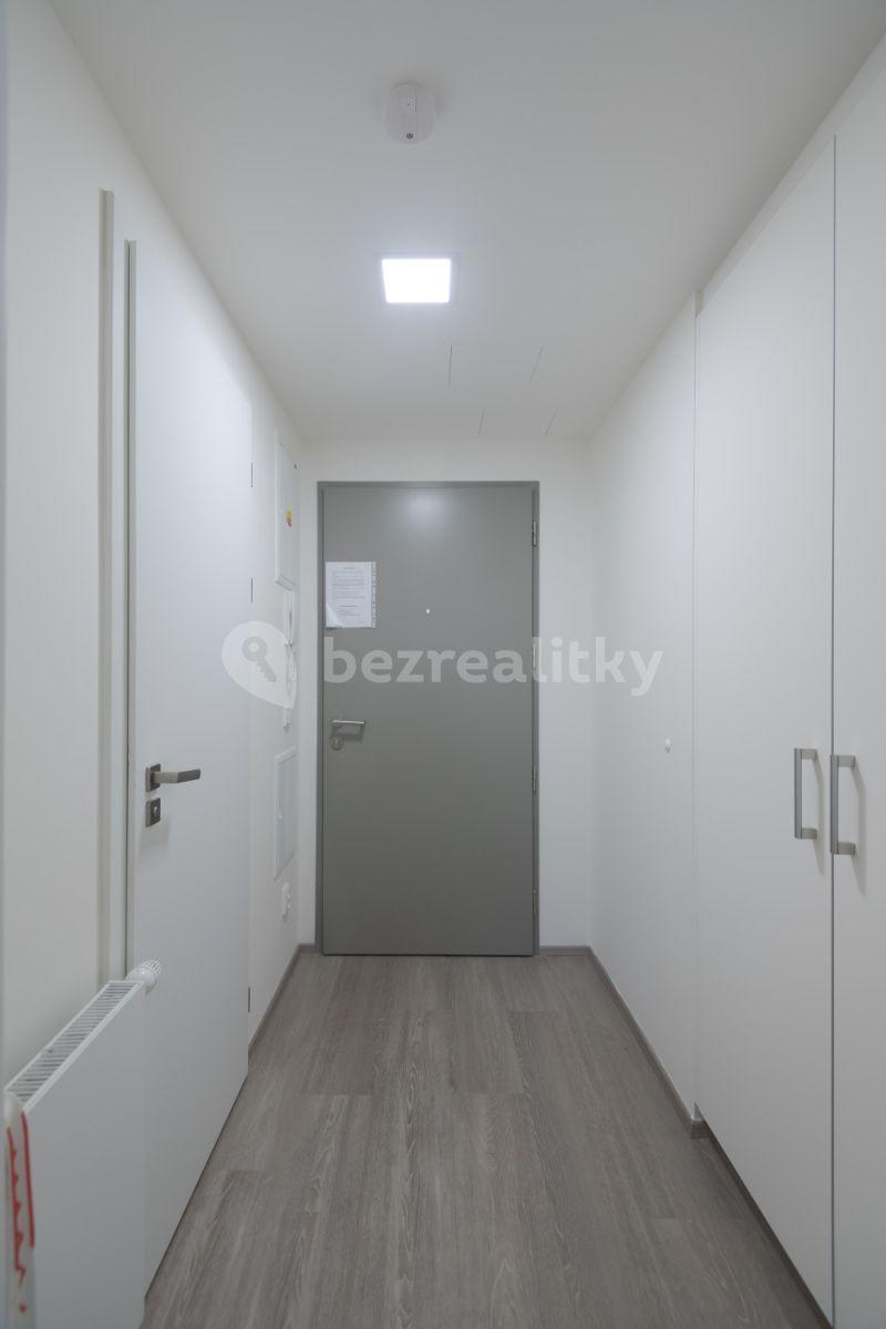 Pronájem bytu 1+1 35 m², Koněvova, Praha, Praha