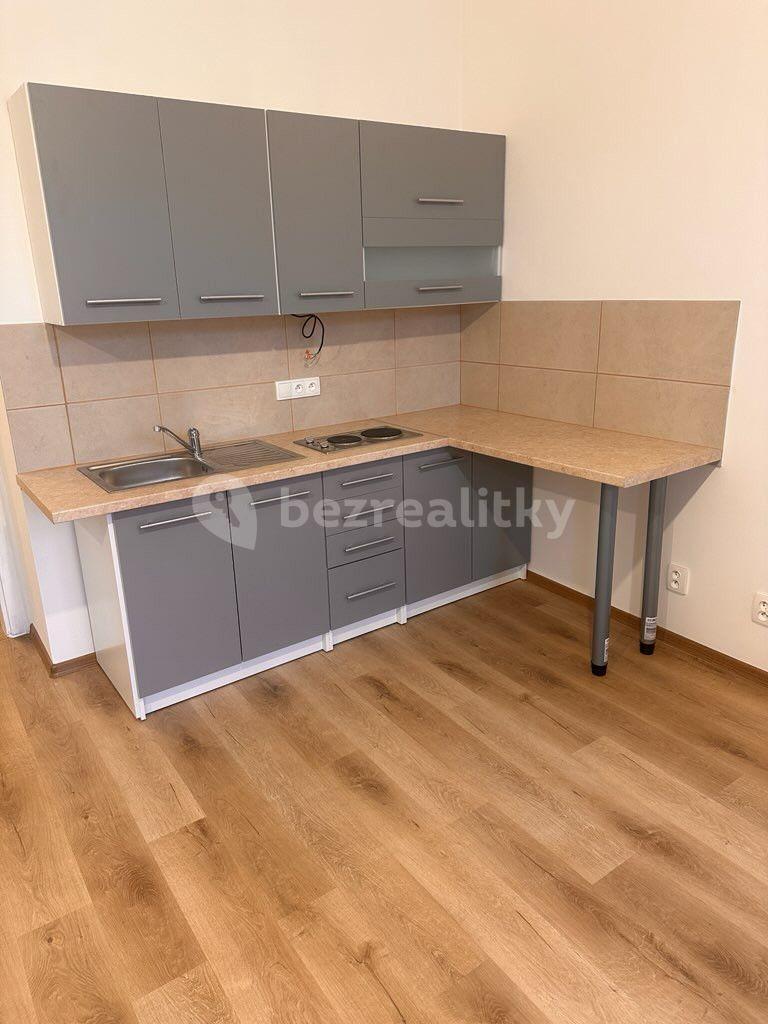 Pronájem bytu 1+1 40 m², Ječná, Praha, Praha